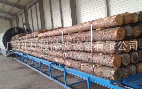 隧道式工業(yè)微波設備的極性