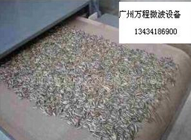 微波堅(jiān)果內(nèi)干燥設(shè)備