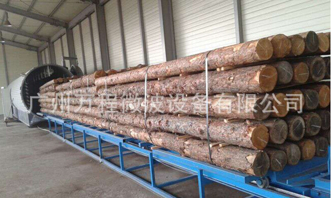 隧道式工業(yè)微波設(shè)備給你美麗的邂逅